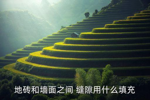 地砖和墙面之间 缝隙用什么填充