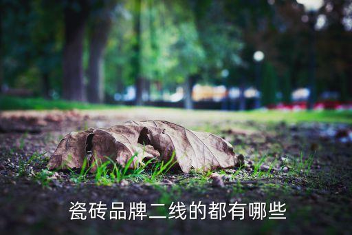  瓷砖品牌二线的都有哪些