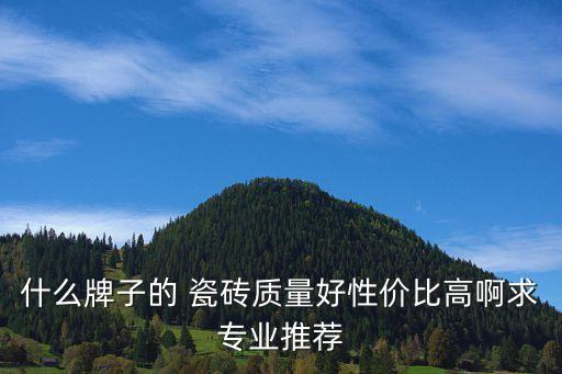 什么牌子的 瓷砖质量好性价比高啊求专业推荐
