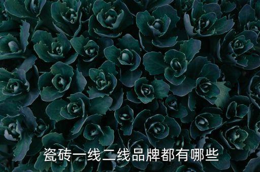 斯米克瓷砖属几线品牌