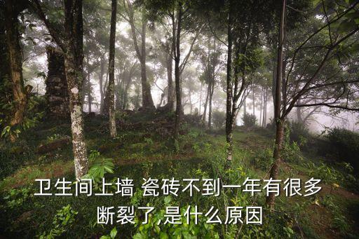  卫生间上墙 瓷砖不到一年有很多 断裂了,是什么原因