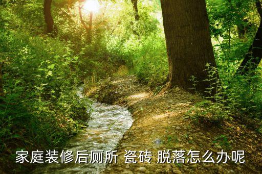 卫生间防水做高了瓷砖脱落