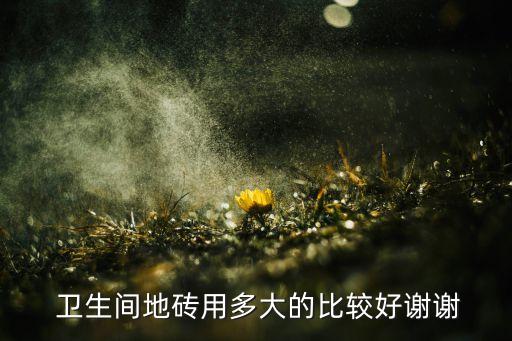  卫生间地砖用多大的比较好谢谢