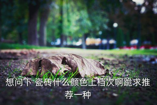想问下 瓷砖什么颜色上档次啊跪求推荐一种
