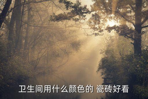 纯白瓷砖厕所效果图欣赏,阳台纯白瓷砖效果图