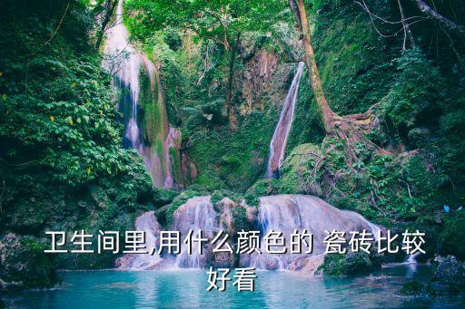  卫生间里,用什么颜色的 瓷砖比较好看