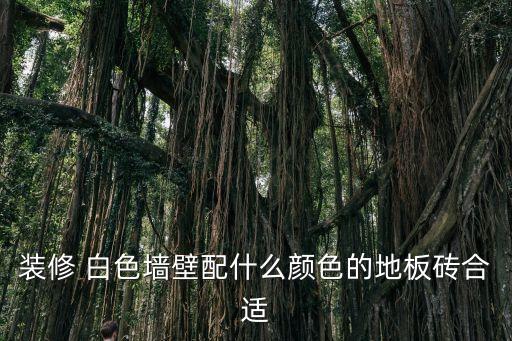 装修 白色墙壁配什么颜色的地板砖合适