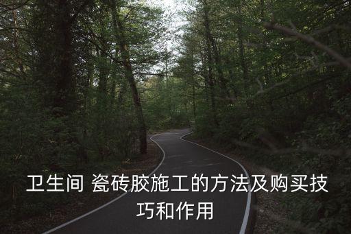  卫生间 瓷砖胶施工的方法及购买技巧和作用