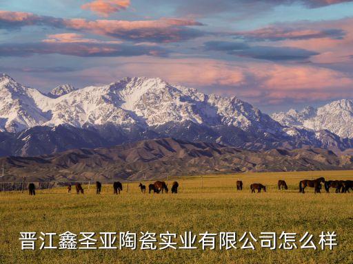  晋江鑫圣亚陶瓷实业有限公司怎么样