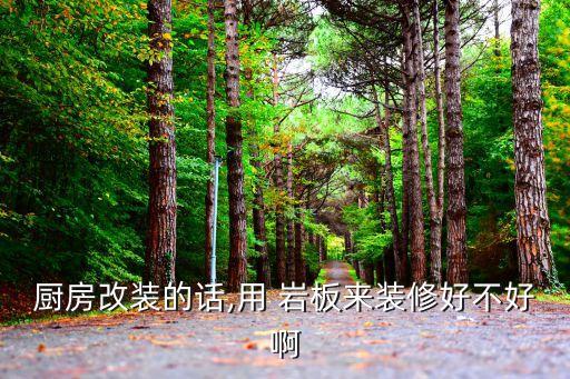瓷砖中间铺岩板效果图