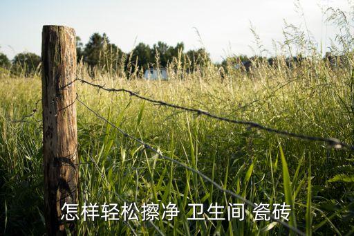 怎样轻松擦净 卫生间 瓷砖