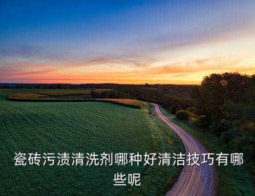  瓷砖污渍清洗剂哪种好清洁技巧有哪些呢