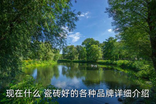 瓷砖哪个品牌好看又便宜,宏宇瓷砖旗下品牌哪个便宜