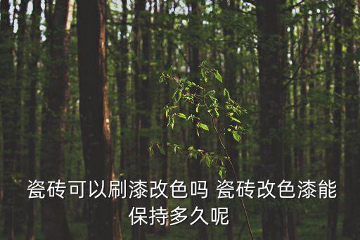 卫生间瓷砖翻新漆测评,旧房改造卫生间瓷砖怎么翻新