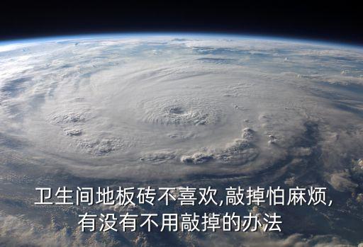  卫生间地板砖不喜欢,敲掉怕麻烦,有没有不用敲掉的办法