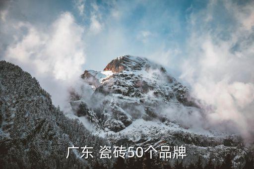 广东 瓷砖50个品牌