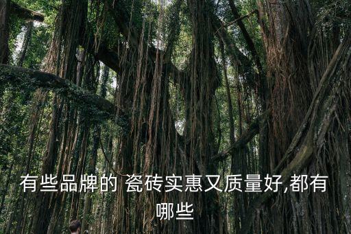 有些品牌的 瓷砖实惠又质量好,都有哪些