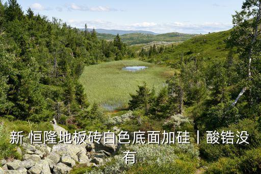 新式恒隆瓷砖效果图