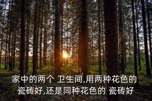 家中的两个 卫生间,用两种花色的 瓷砖好,还是同种花色的 瓷砖好