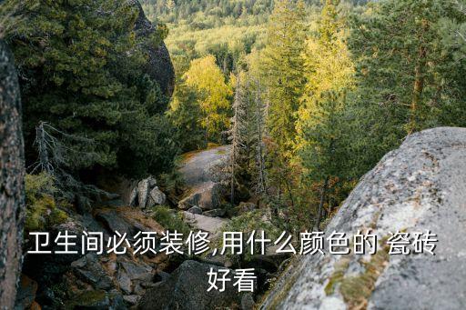 卫生间必须装修,用什么颜色的 瓷砖好看
