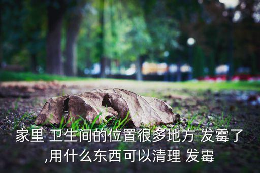 家里 卫生间的位置很多地方 发霉了,用什么东西可以清理 发霉