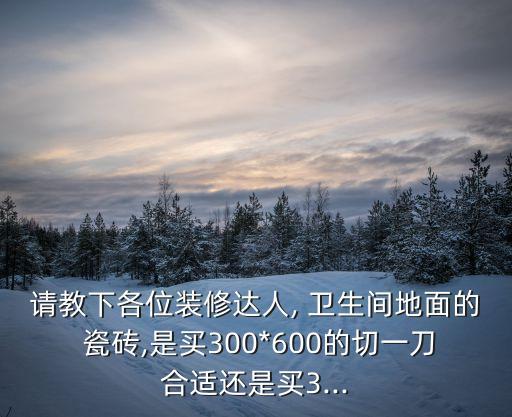 请教下各位装修达人, 卫生间地面的 瓷砖,是买300*600的切一刀合适还是买3...