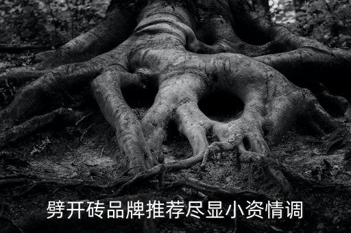 劈开砖品牌推荐尽显小资情调