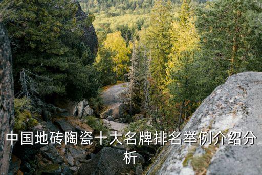中国地砖陶瓷十大名牌排名举例介绍分析