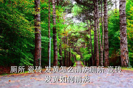 厕所 瓷砖 发黄怎么清洗厕所 瓷砖 发黄如何清洗
