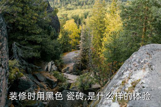 装修时用黑色 瓷砖,是什么样的体验