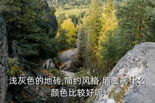 浅灰配白瓷砖上墙效果图