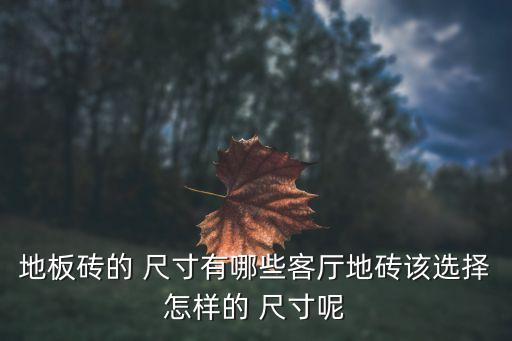 地板砖的 尺寸有哪些客厅地砖该选择怎样的 尺寸呢