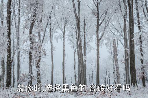 装修时,选择黑色的 瓷砖好看吗