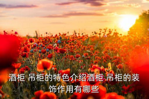 酒柜 吊柜的特色介绍酒柜 吊柜的装饰作用有哪些