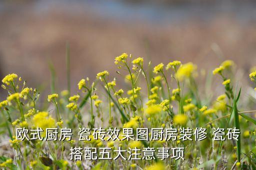 欧式厨房 瓷砖效果图厨房装修 瓷砖搭配五大注意事项
