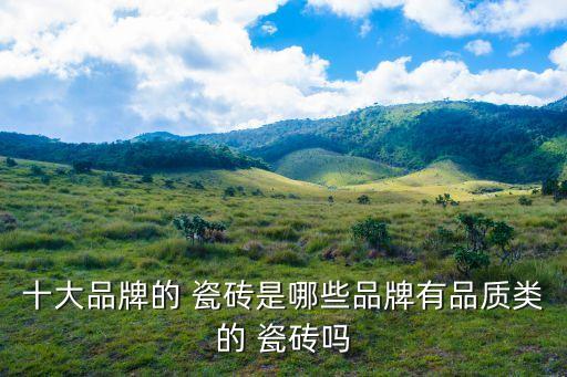 十大品牌的 瓷砖是哪些品牌有品质类的 瓷砖吗