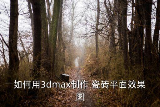 如何用3dmax制作 瓷砖平面效果图