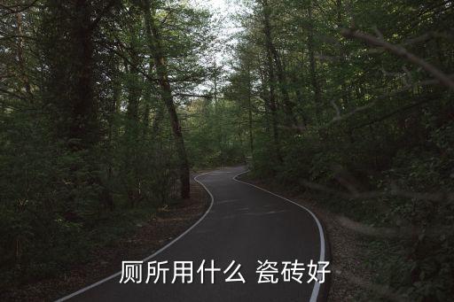 卫生间地面瓷砖材质选择