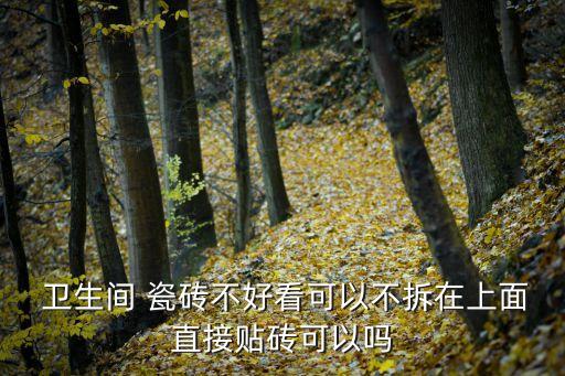  卫生间 瓷砖不好看可以不拆在上面直接贴砖可以吗