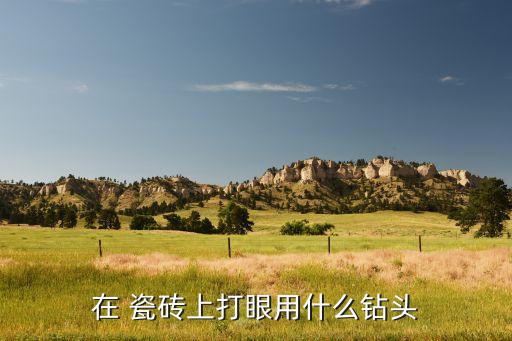 在 瓷砖上打眼用什么钻头