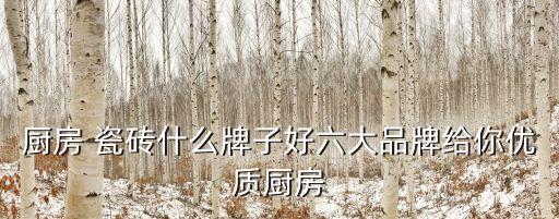 厨房 瓷砖什么牌子好六大品牌给你优质厨房