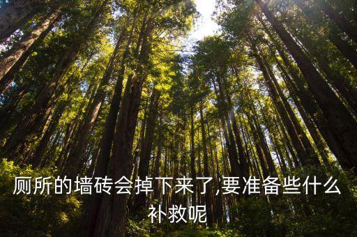 厕所的墙砖会掉下来了,要准备些什么补救呢