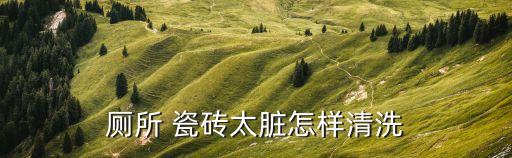 厕所 瓷砖太脏怎样清洗