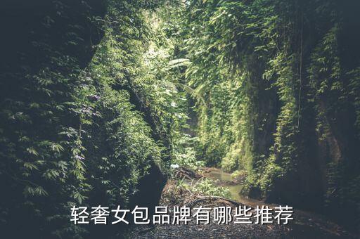 抛瓷砖品牌包包轻奢,国际轻奢瓷砖是属于什么品牌