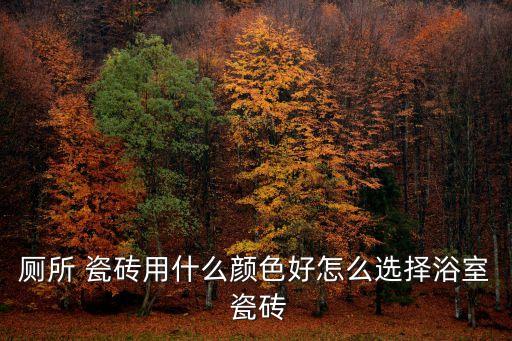 卫生间蹲坑同色瓷砖
