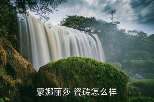蒙娜丽莎 瓷砖怎么样