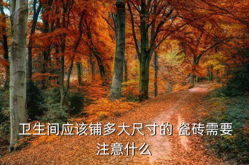  卫生间应该铺多大尺寸的 瓷砖需要注意什么