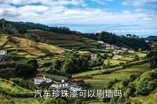 汽车珍珠漆可以刷墙吗