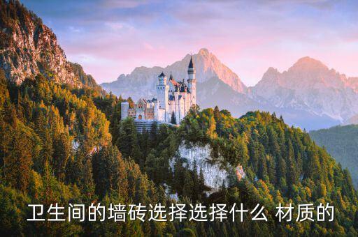  卫生间的墙砖选择选择什么 材质的