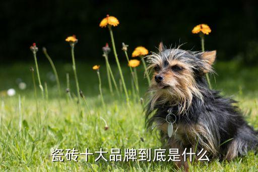  瓷砖十大品牌到底是什么
